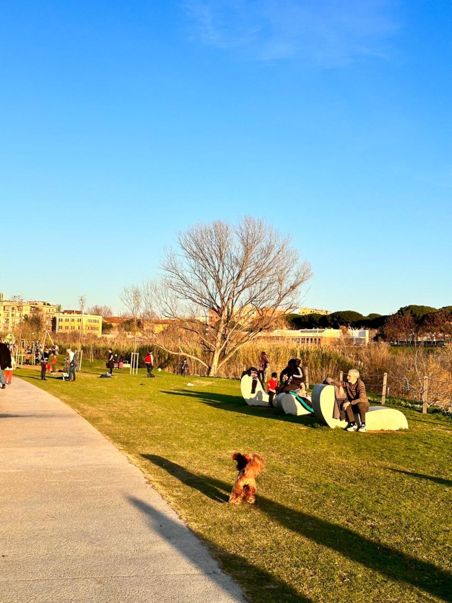Appartamento Alpharomaholidays Roma
